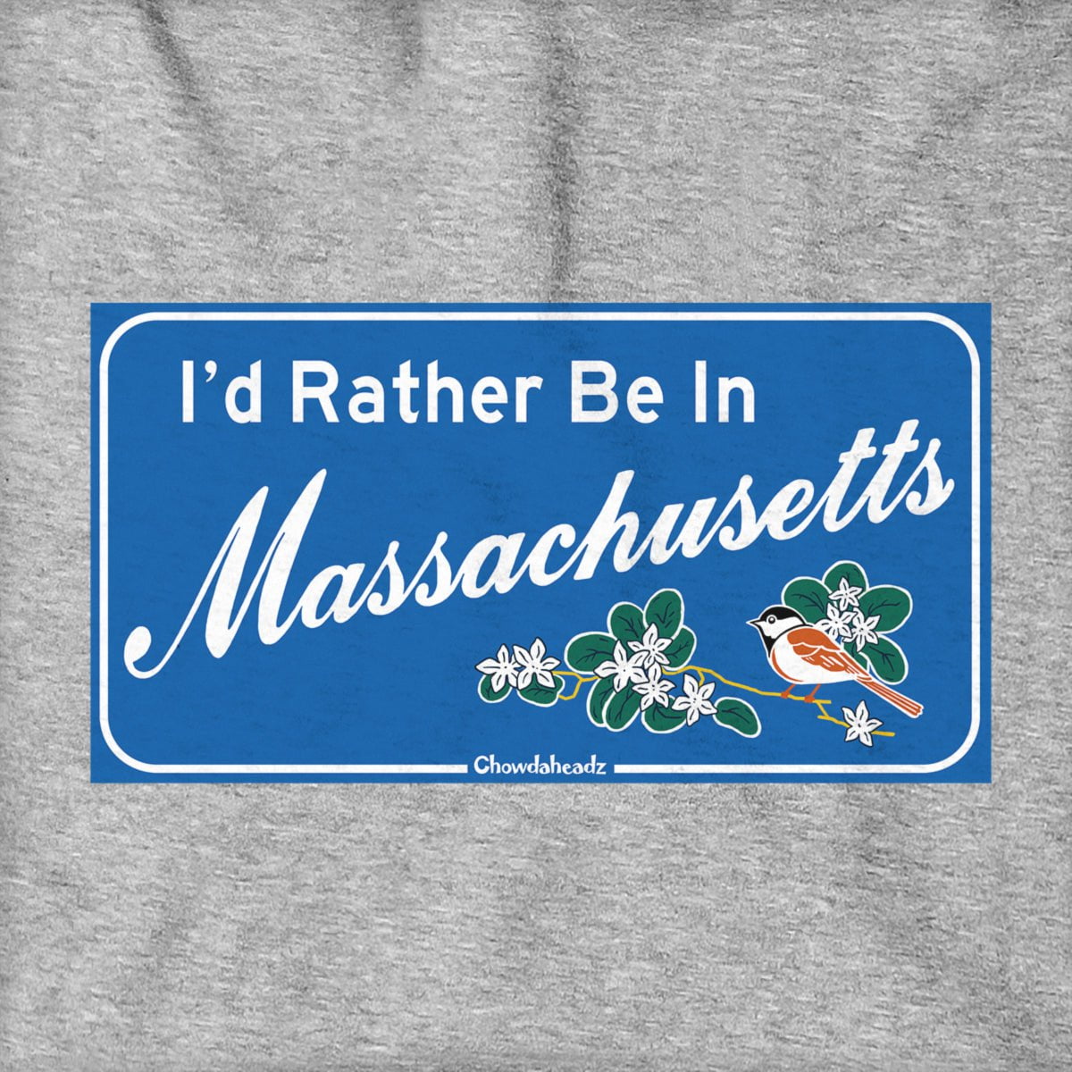 I'd Rather Be In Massachusetts Sign Hoodie