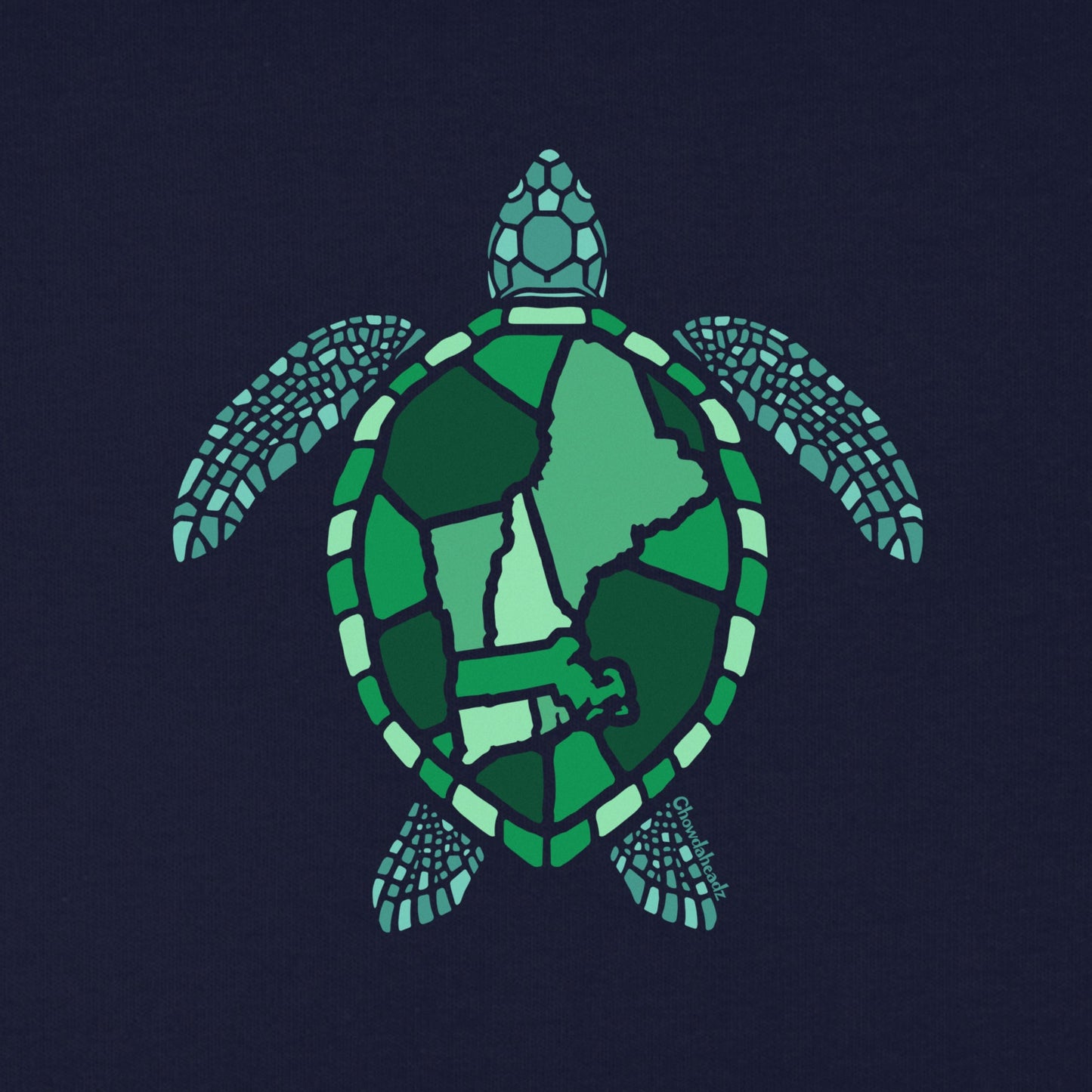 New England Sea Turtle Youth Hoodie