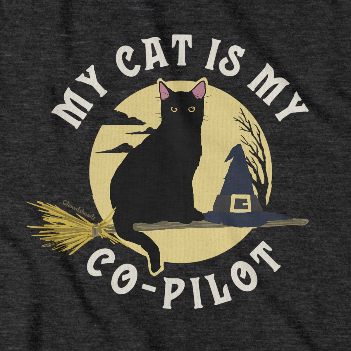 My Cat Is My Co-Pilot Hoodie