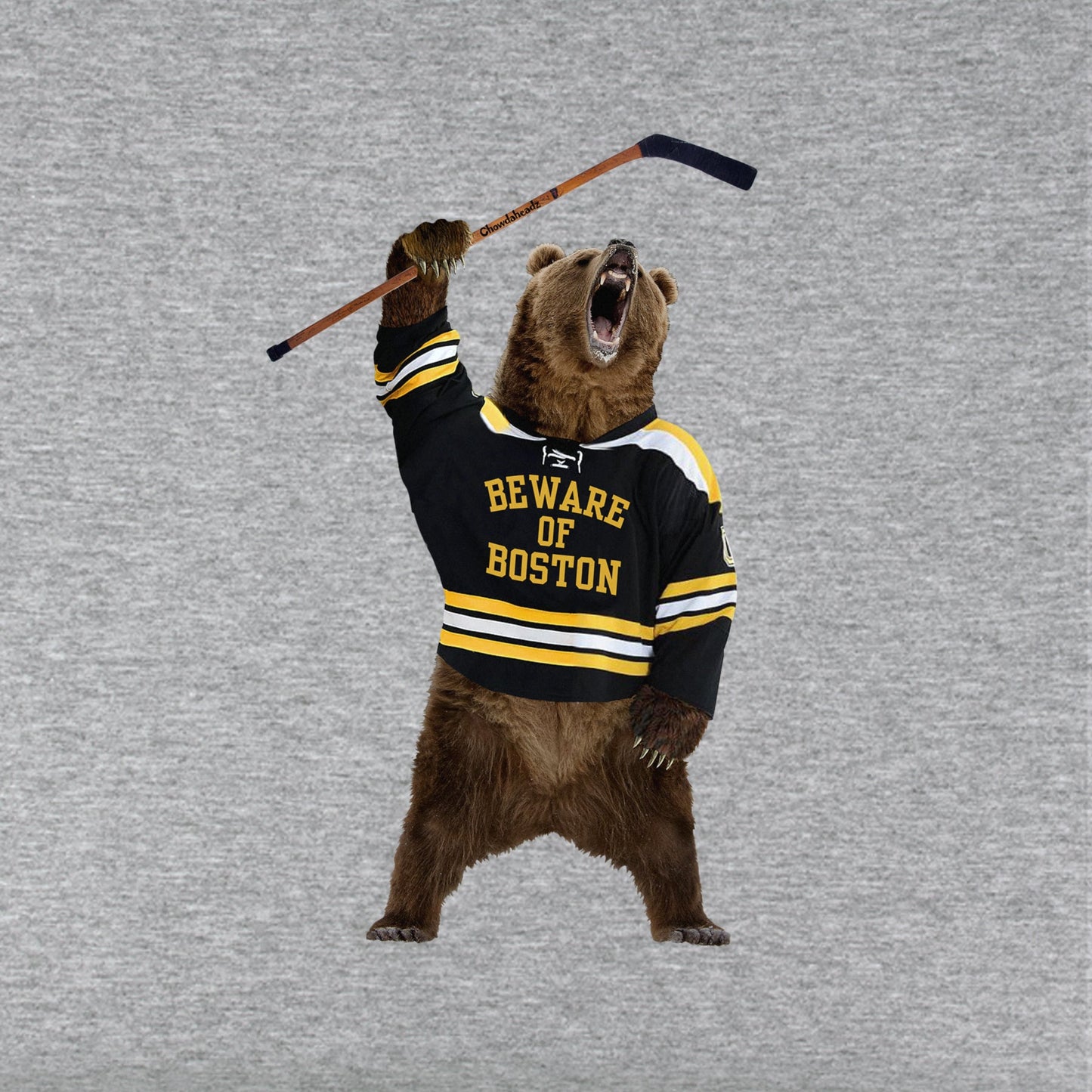 Beware of Boston Bear Youth Hoodie
