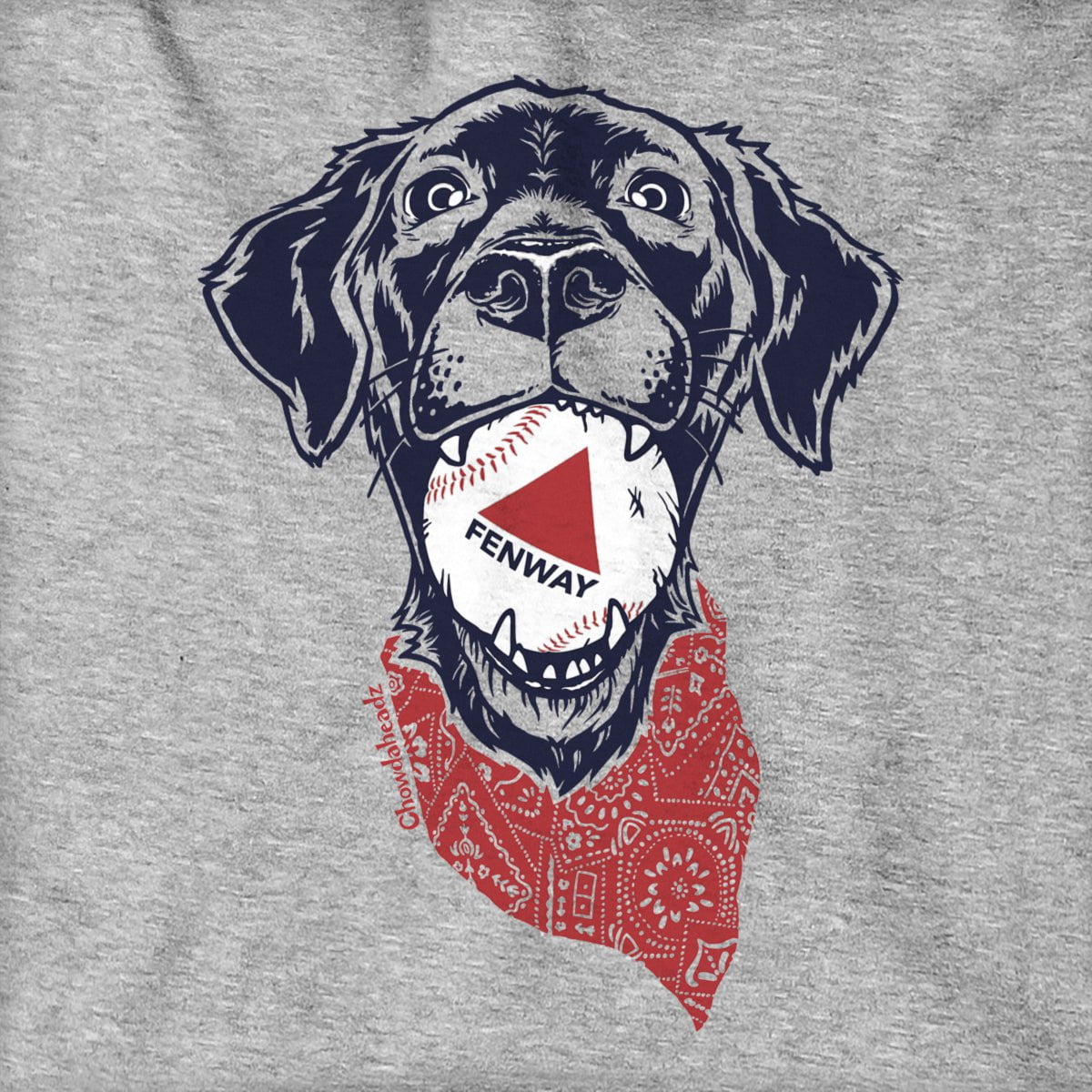 Fenway Dog Hoodie