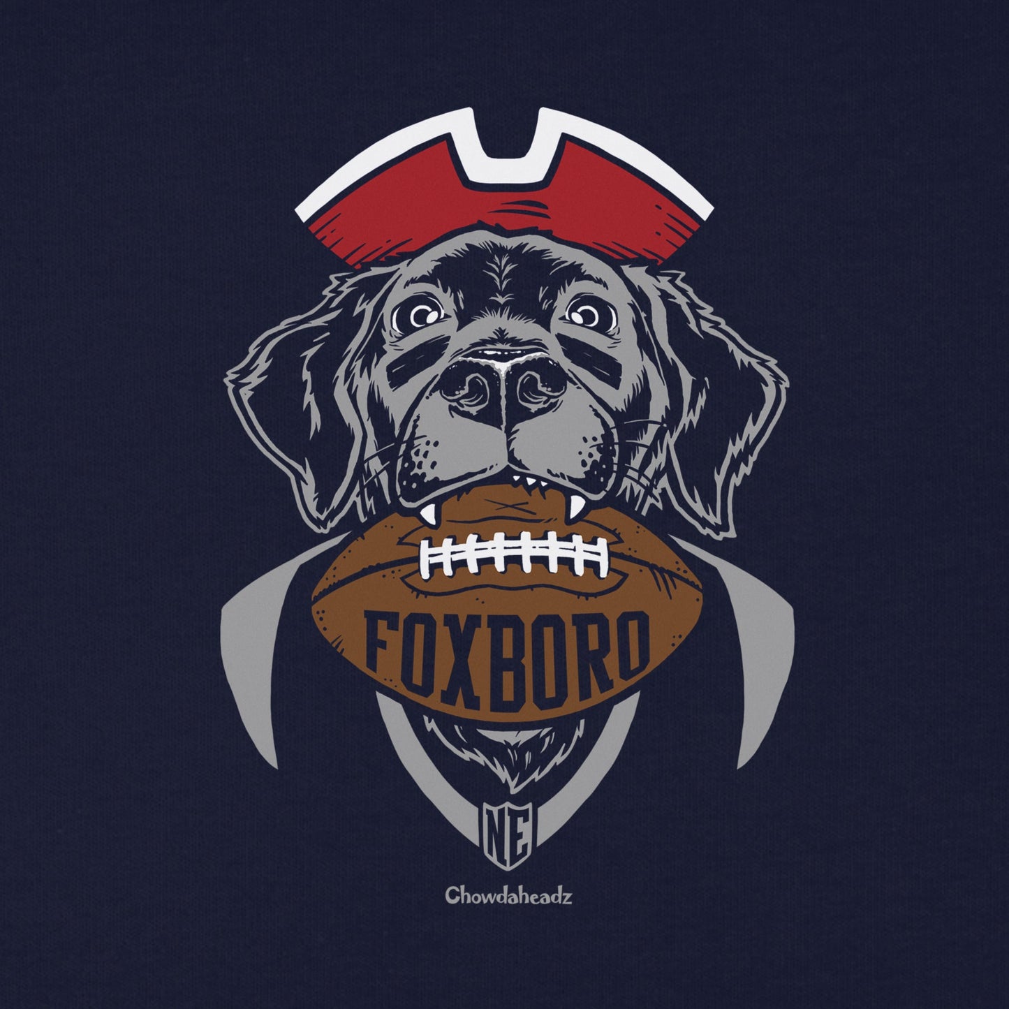Foxboro Football Dog Youth Hoodie