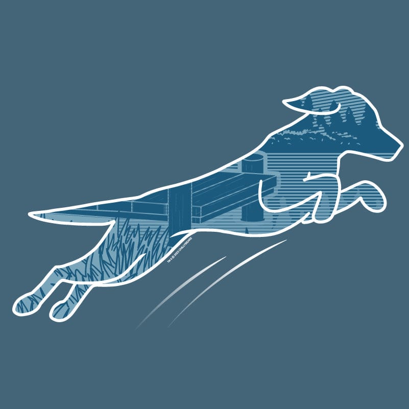 Dock Diving - Lightweight Tee