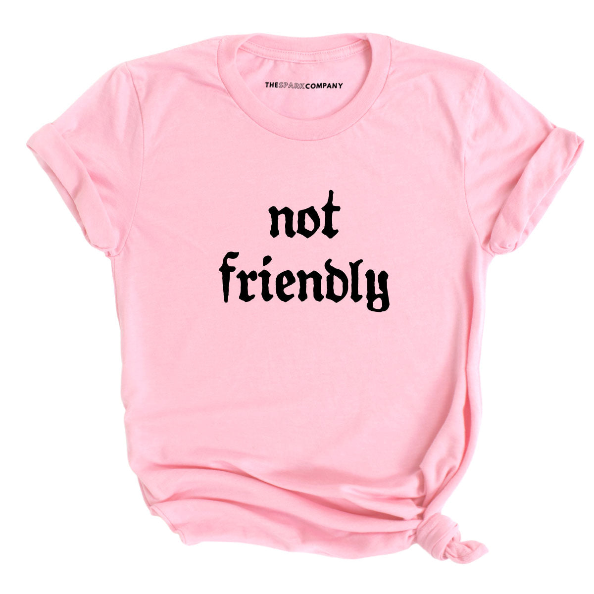 Not Friendly T-Shirt