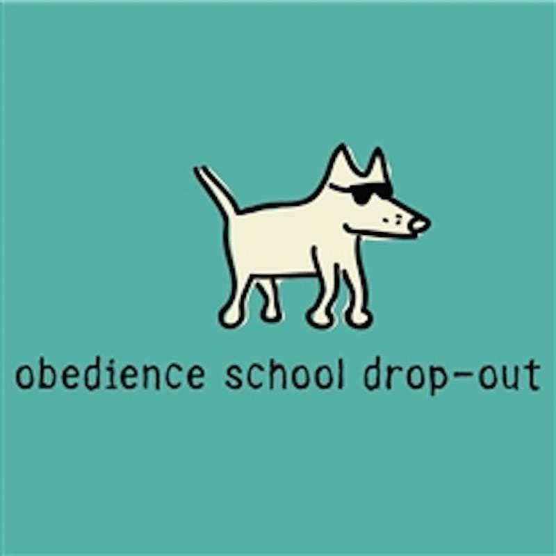 Obedience School Dropout - Ladies T-Shirt V-Neck