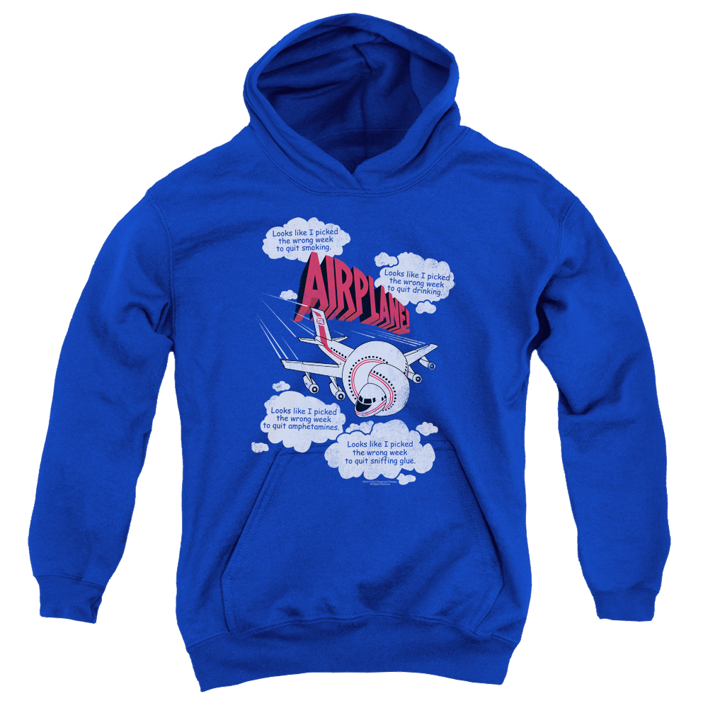 Airplane Picked The Wrong Day - Youth Hoodie (Ages 8-12)