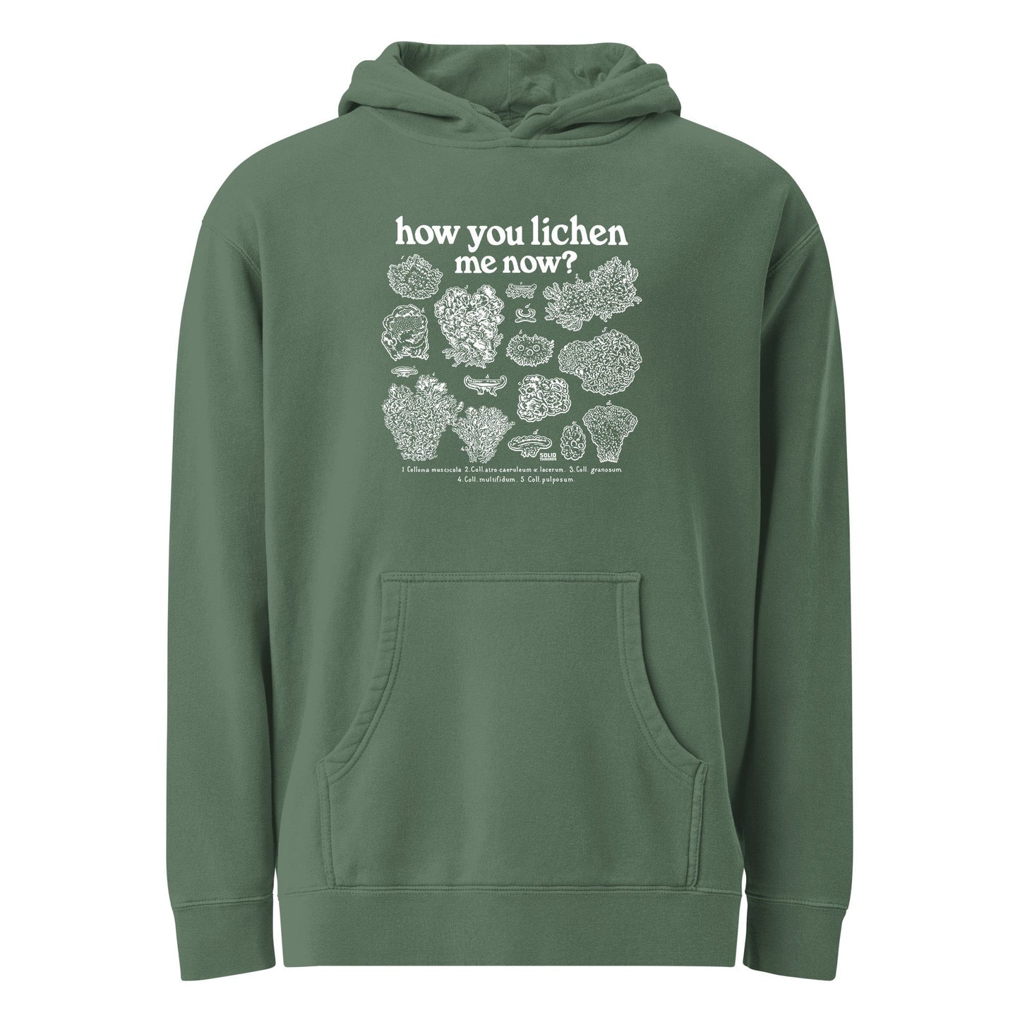 Unisex How You Lichen Me Now Vintage Wash Pullover Hoodie
