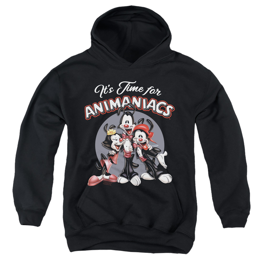 Animaniacs Its Time For - Youth Hoodie