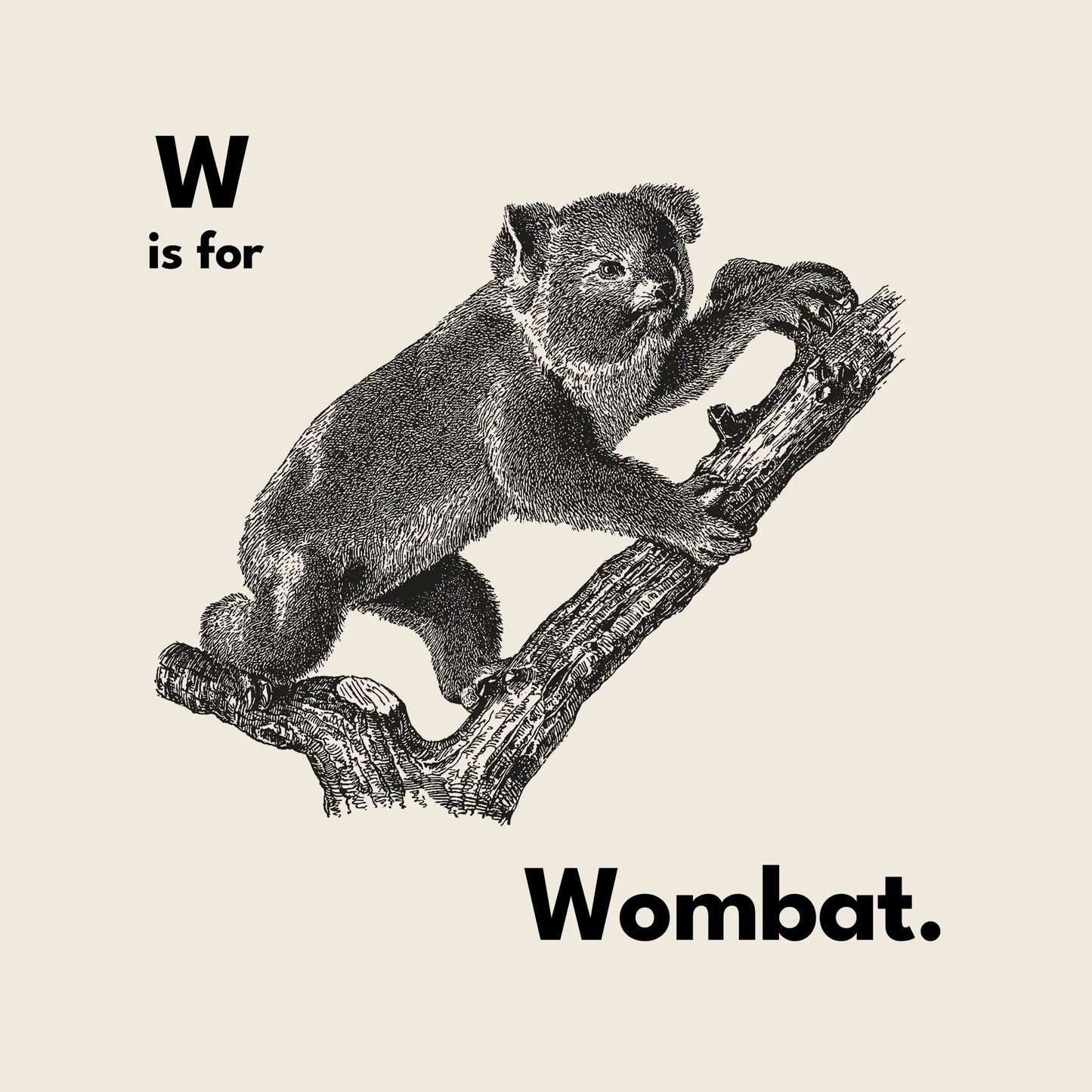 W Is For Wombat Oversized Tee