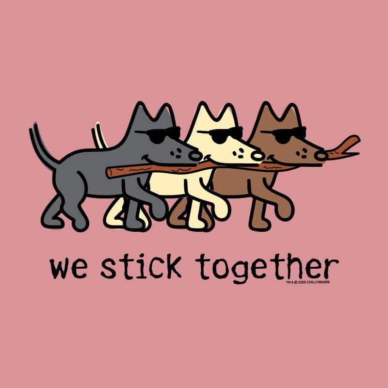 We Stick Together - Ladies T-Shirt V-Neck