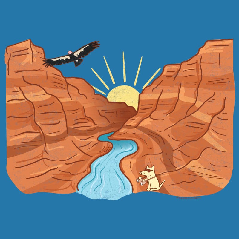 Grand Canyon - Ladies T-Shirt V-Neck