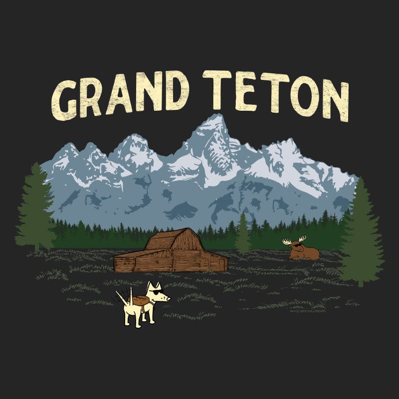 Grand Teton - Ladies T-Shirt V-Neck