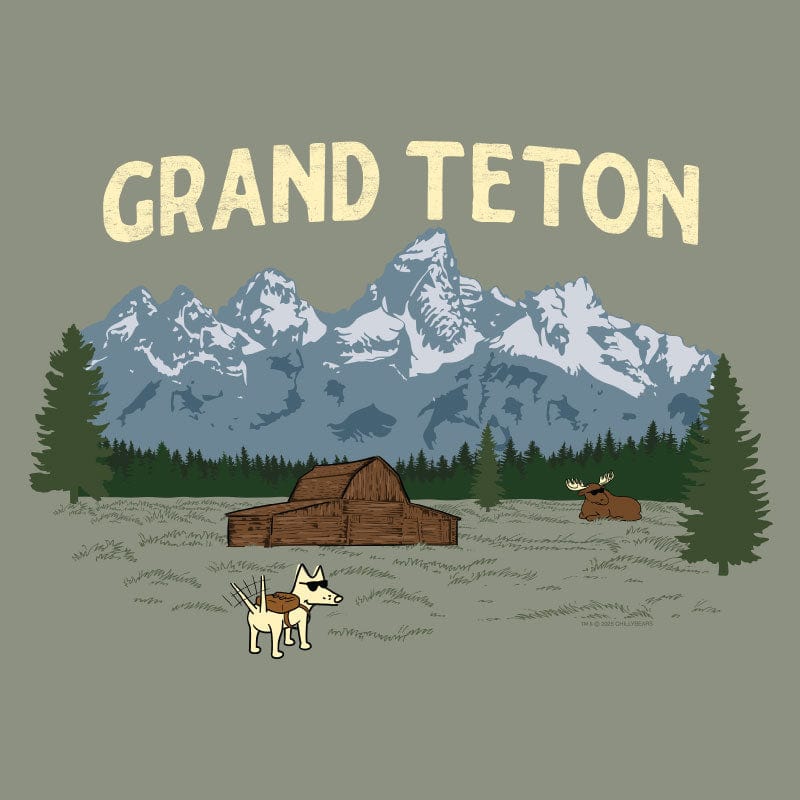 Grand Teton - Ladies Curvy V-Neck Tee