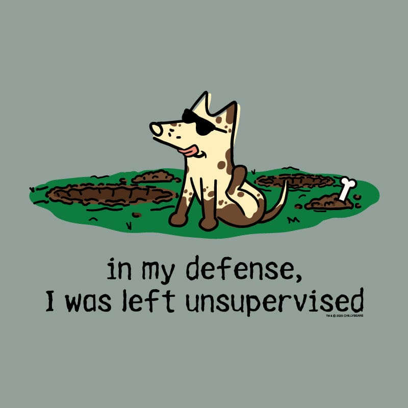 In My Defense I Was Left Unsupervised - Sweatshirt Pullover Hoodie