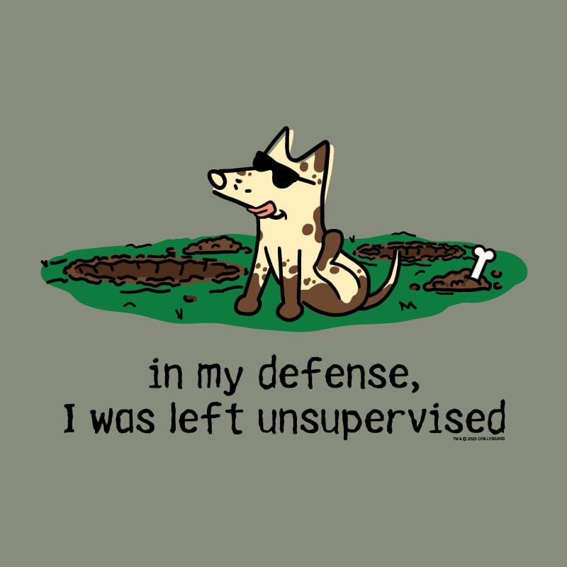 In My Defense I Was Left Unsupervised - Ladies Curvy V-Neck Tee