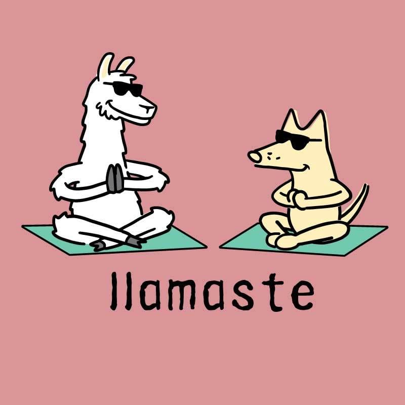 Llamaste - Ladies T-Shirt V-Neck