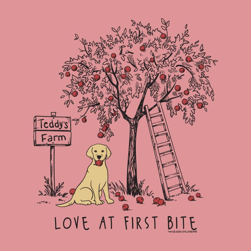 Love at First Bite - Ladies T-Shirt V-Neck