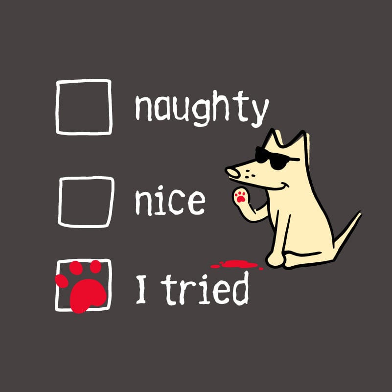Naughty Nice I Tried - Ladies Curvy V-Neck Tee