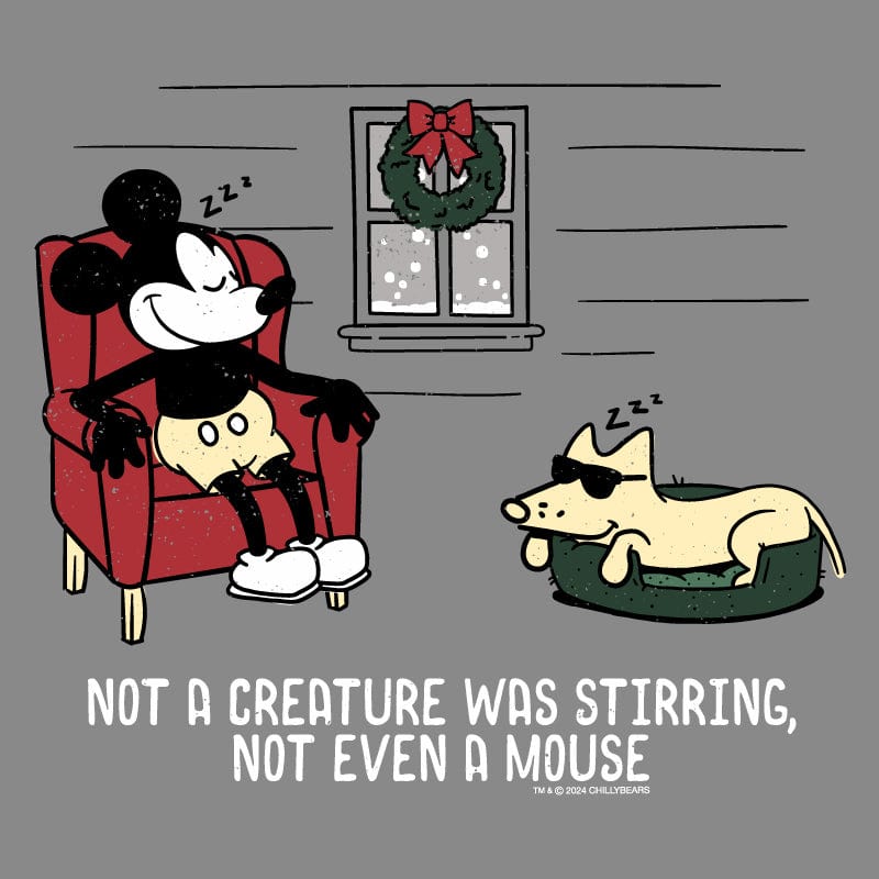 Not a Creature Was Stirring - Ladies T-Shirt V-Neck