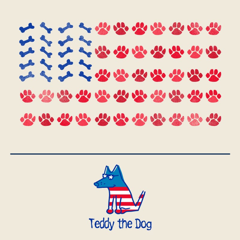 Paws for USA - Ladies T-Shirt V-Neck
