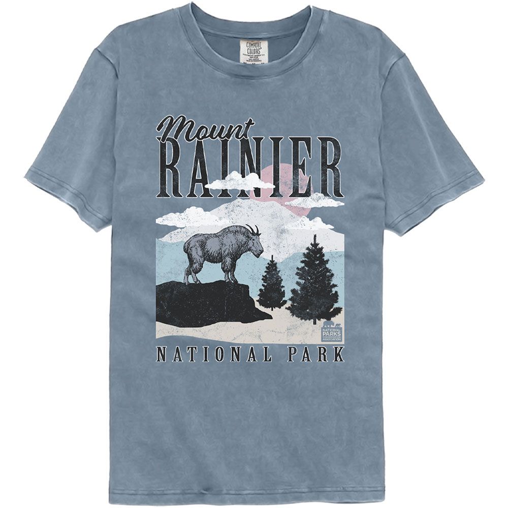 Ranier Minimalist Landscape Comfort Colors T-Shirt
