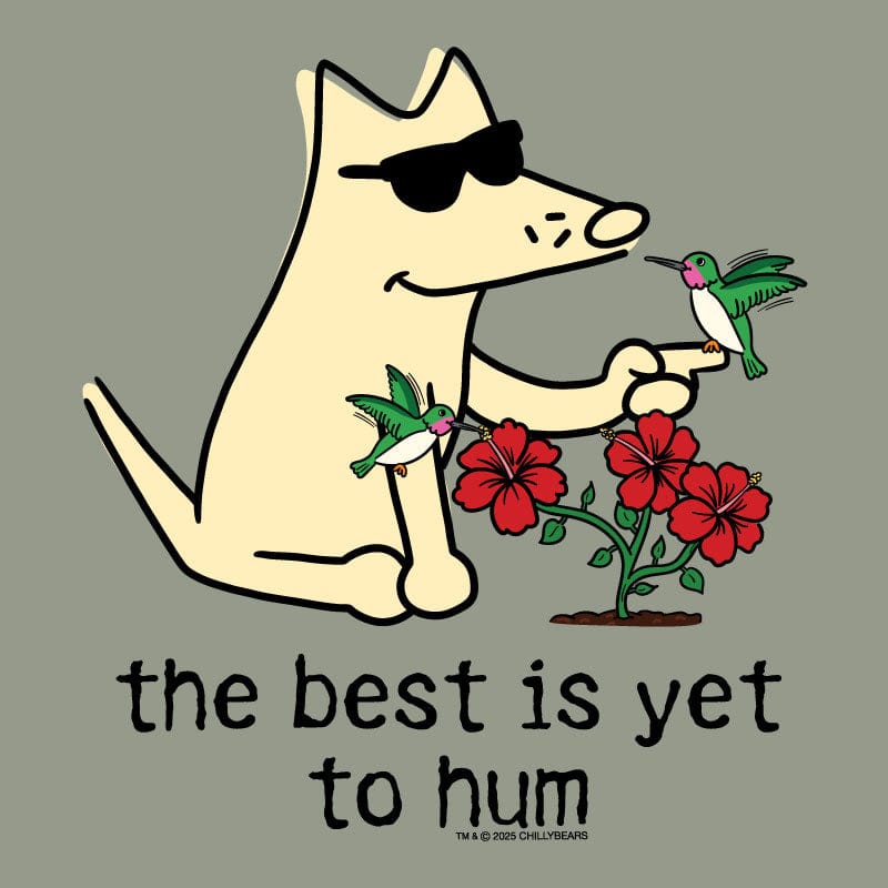 The Best is Yet to Hum - Ladies Curvy V-Neck Tee