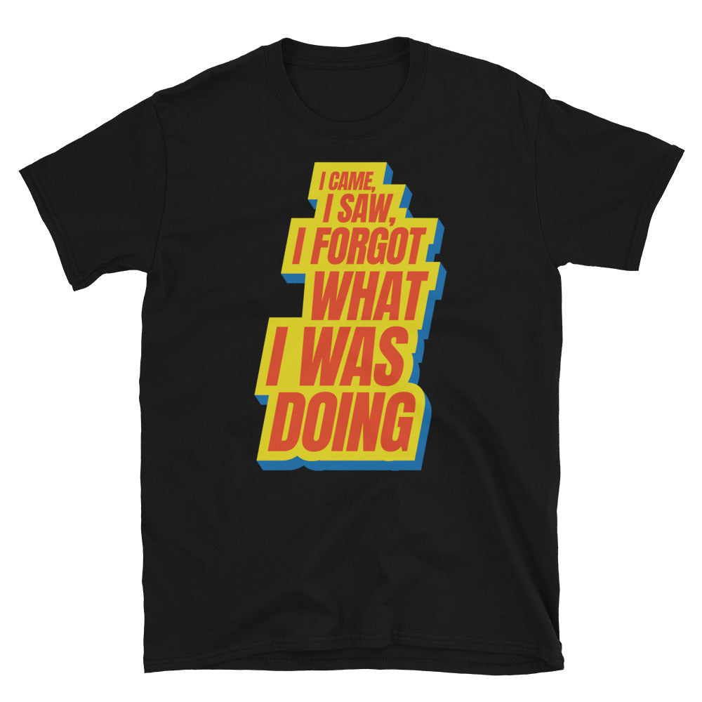 I Came, I Saw, I Forgot What I Was Doing T-Shirt