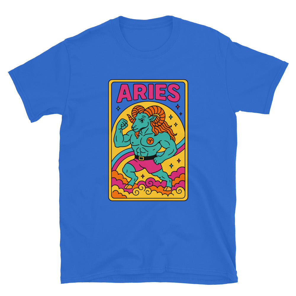 Aries Zodiac Sign T-Shirt