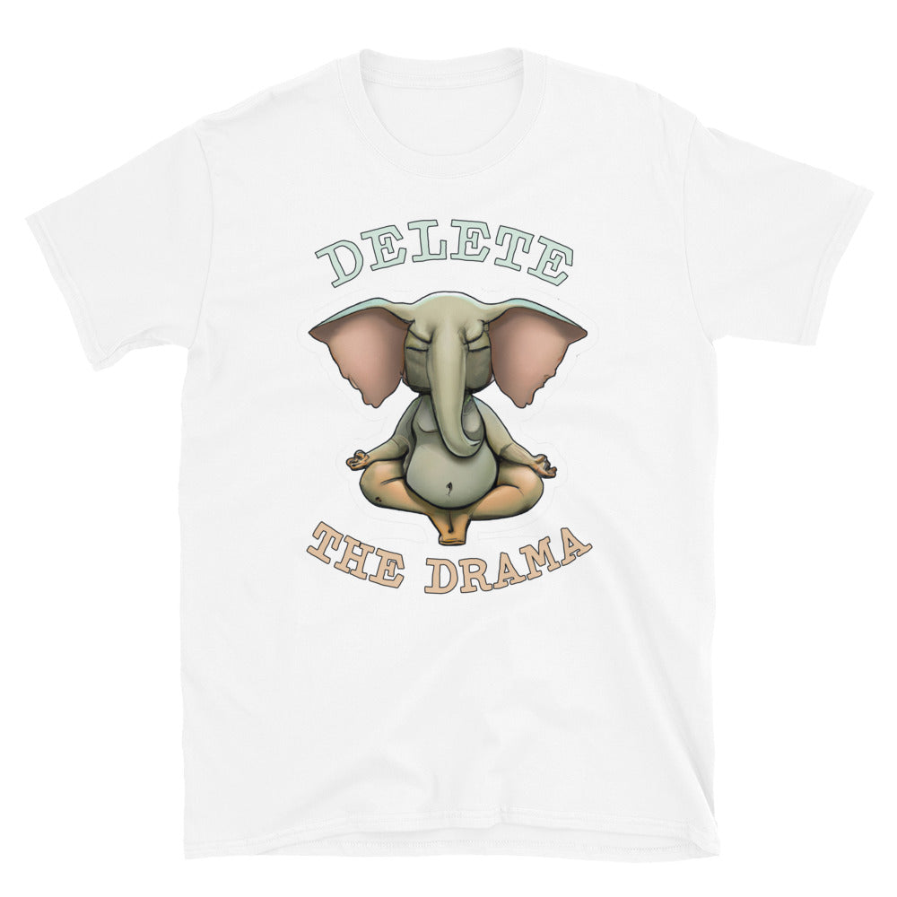Delete The Drama T-Shirt