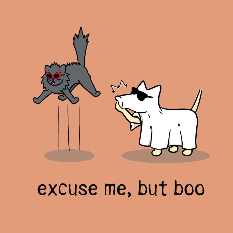 Excuse Me But Boo - Ladies T-Shirt V-Neck