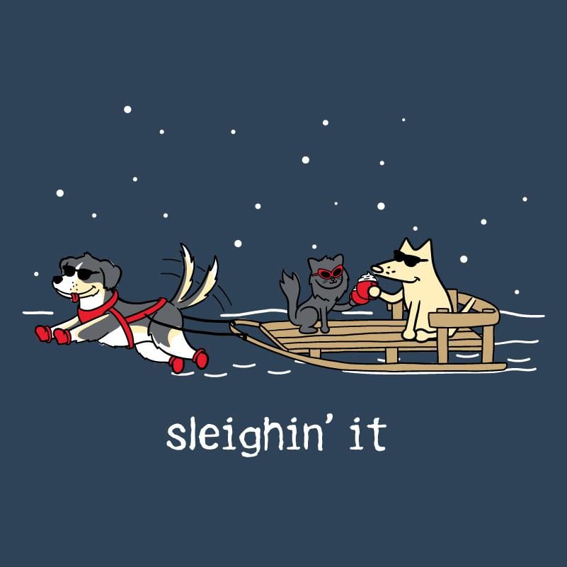 Sleighin' It - Ladies T-Shirt V-Neck
