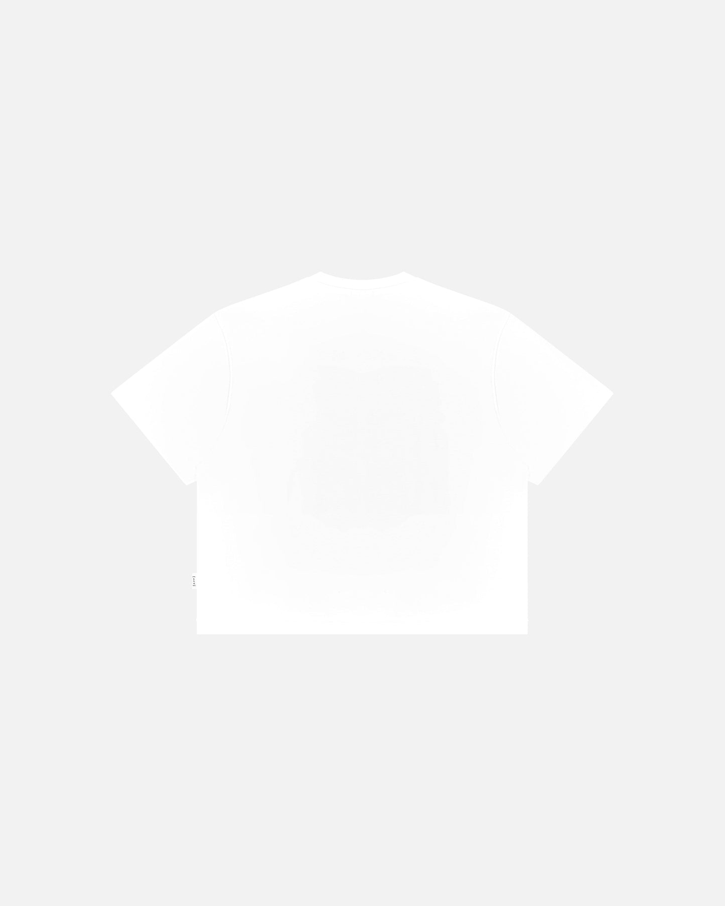 It Came Home Pickles Crop Fit White Tee