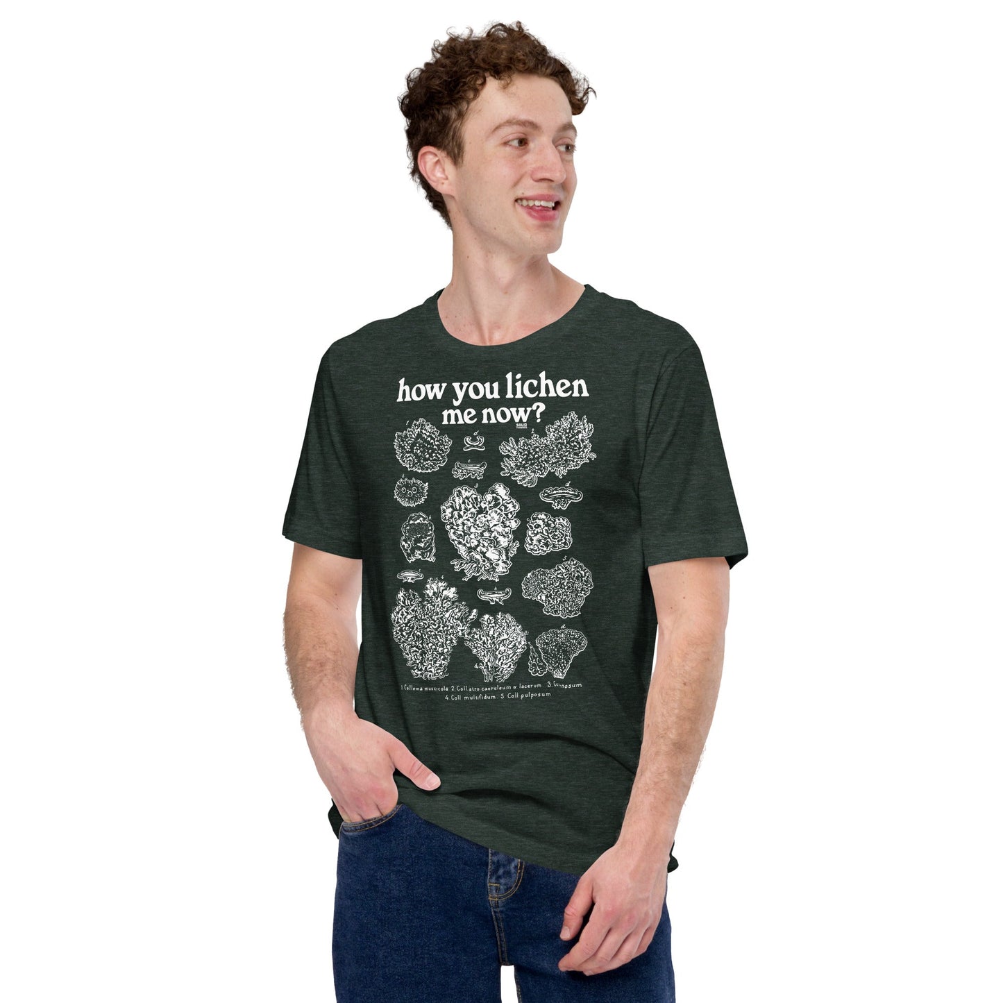 How You Lichen Me Now Soft Style T-Shirt
