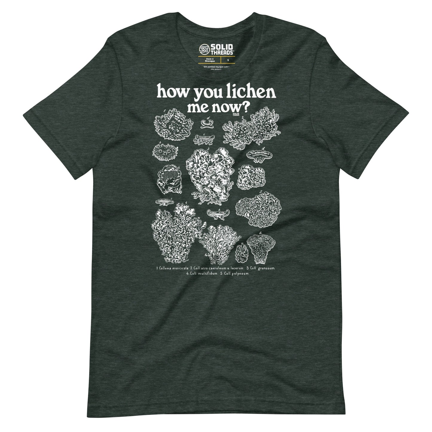 How You Lichen Me Now Soft Style T-Shirt