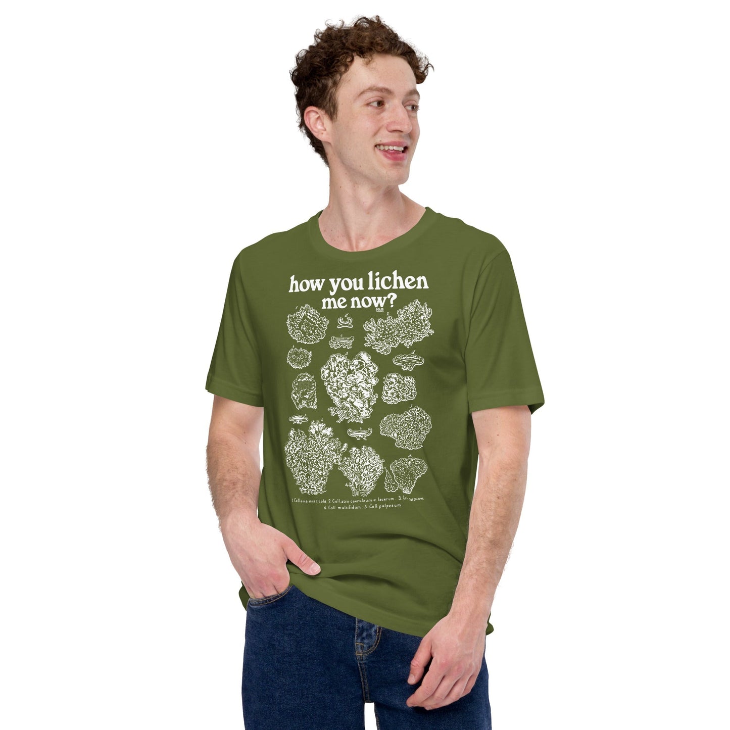 How You Lichen Me Now Soft Style T-Shirt