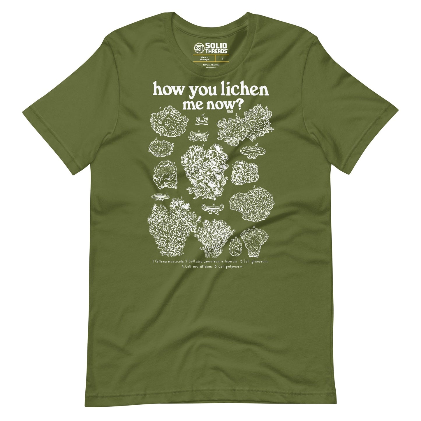 How You Lichen Me Now Soft Style T-Shirt