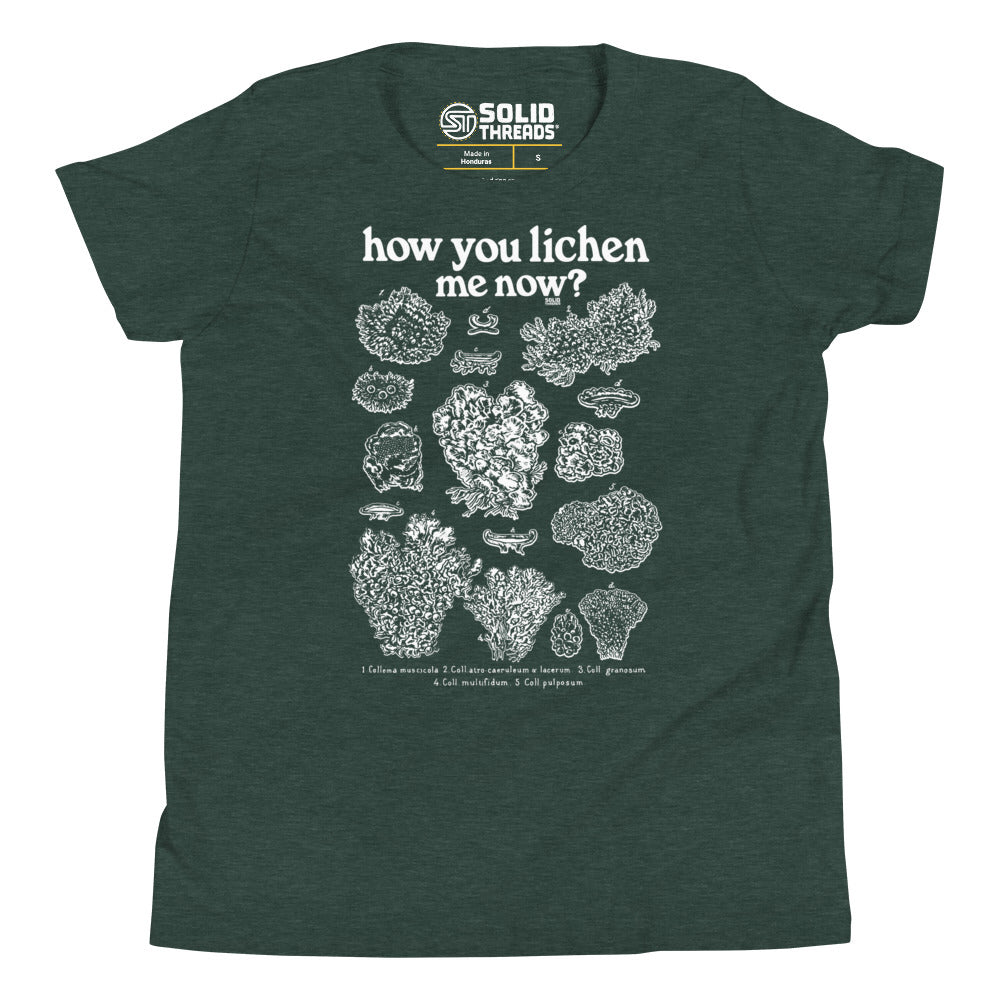 Youth How You Lichen Me Now Extra Soft T-Shirt