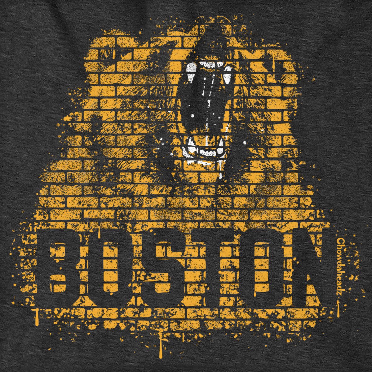 Boston Bear Graffiti Hoodie