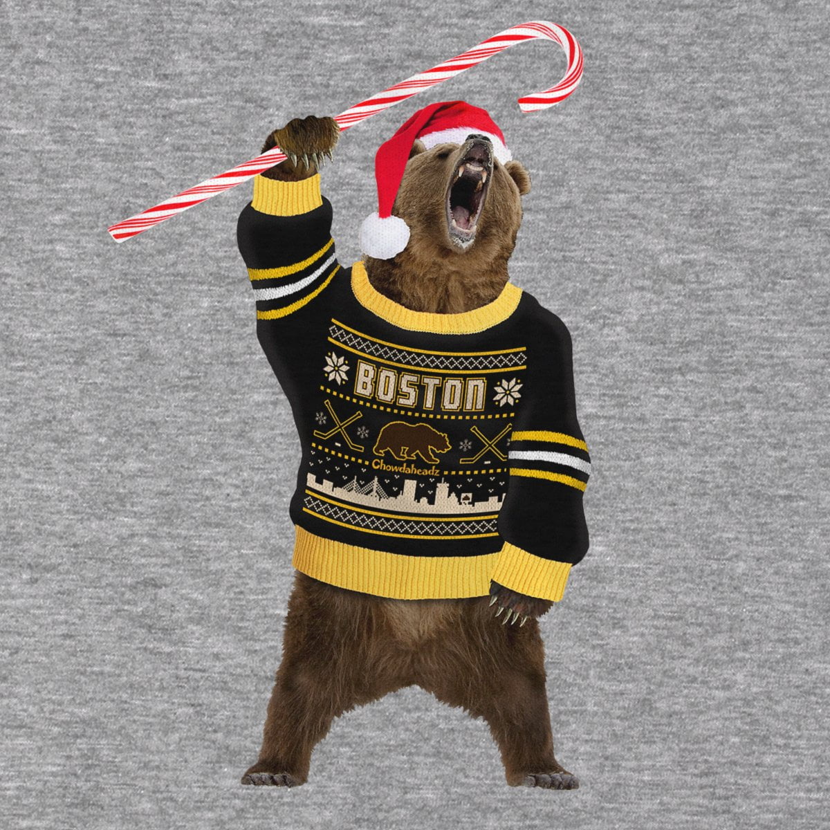 Boston Holiday Sweater Bear T-Shirt