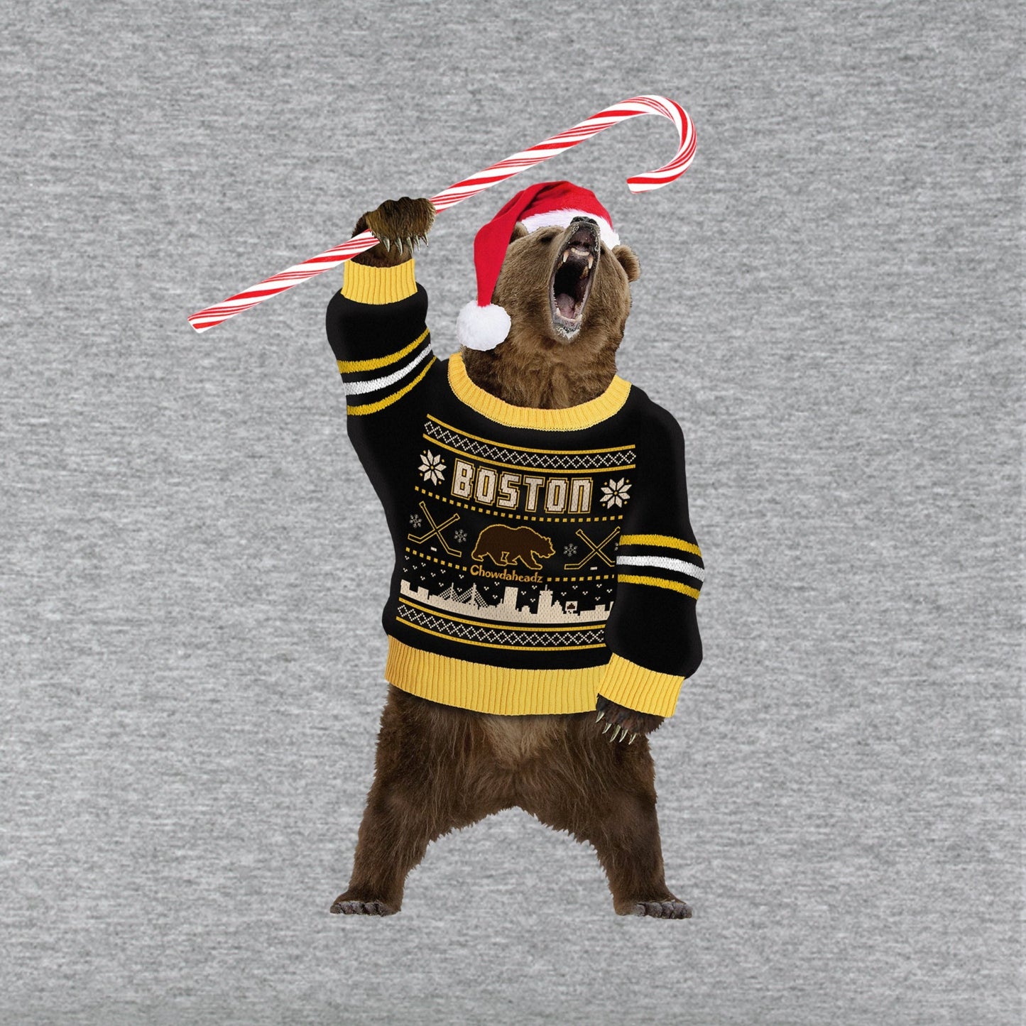 Boston Holiday Sweater Bear Youth T-Shirt
