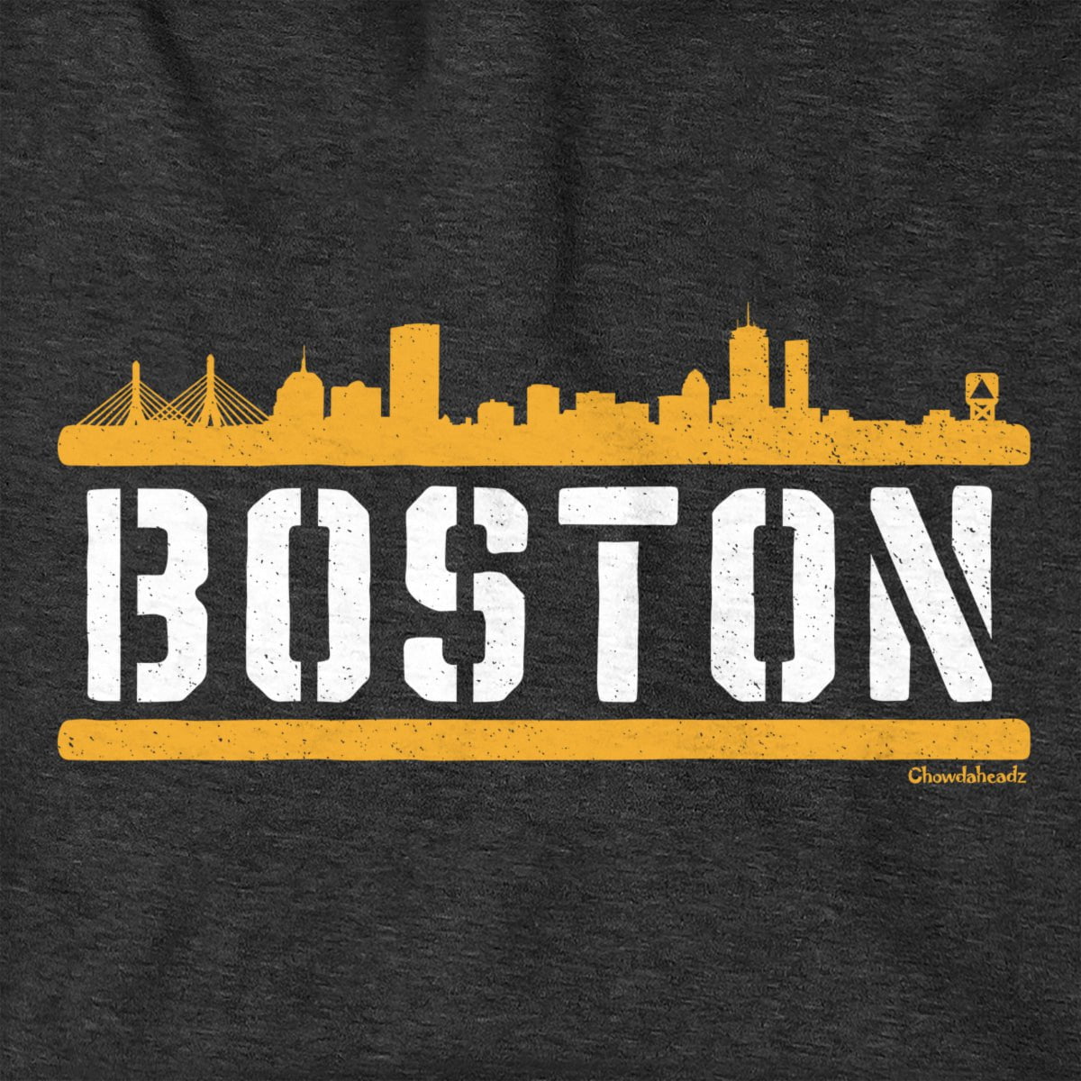 Boston City Line Hoodie
