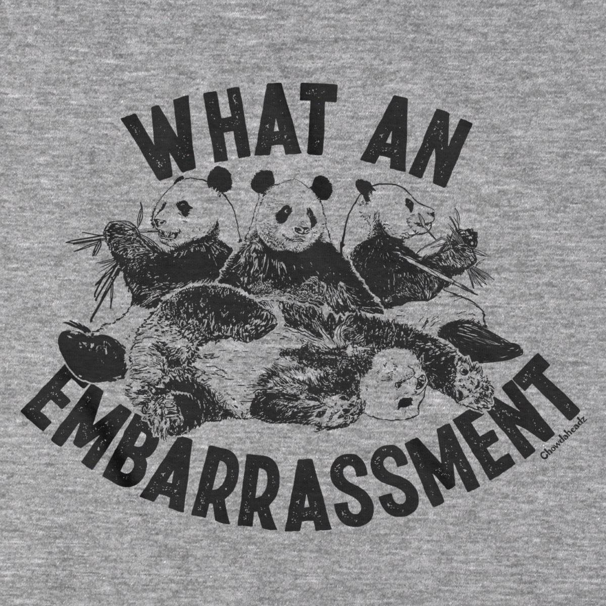 What An Embarrassment T-Shirt
