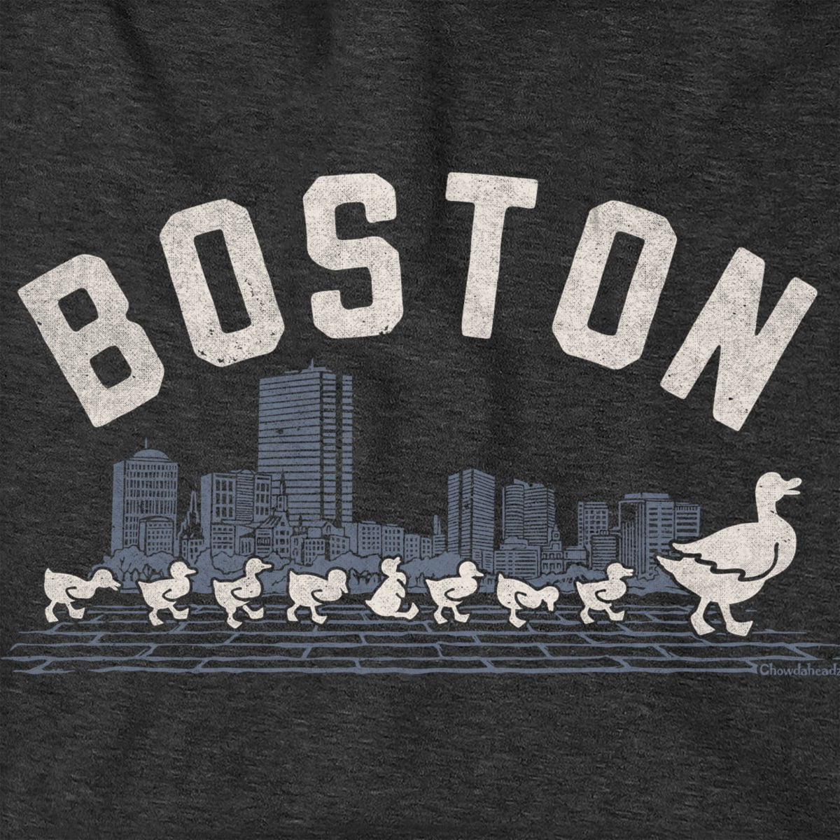 Boston Ducklings Skyline Hoodie