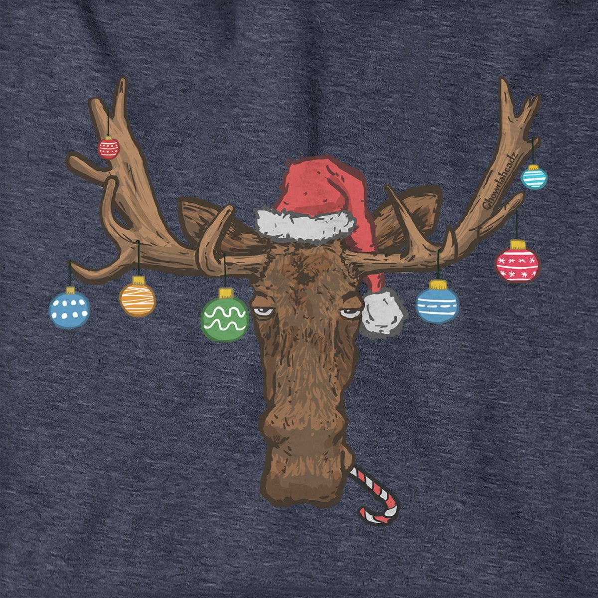Christmas Moose Ornaments Hoodie
