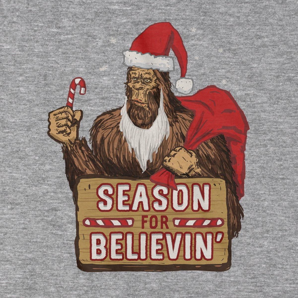 Season For Believin' T-Shirt