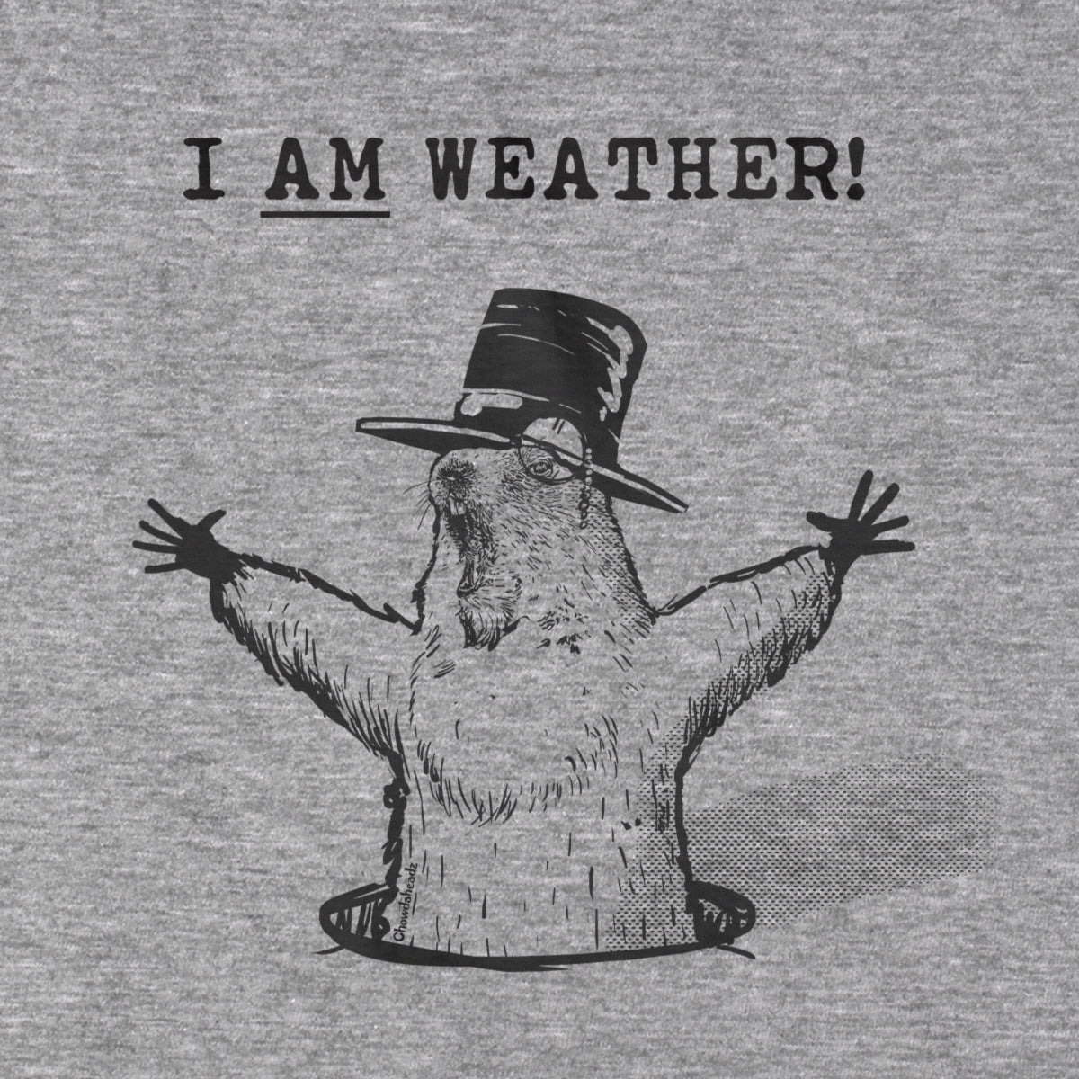 I Am Weather T-Shirt