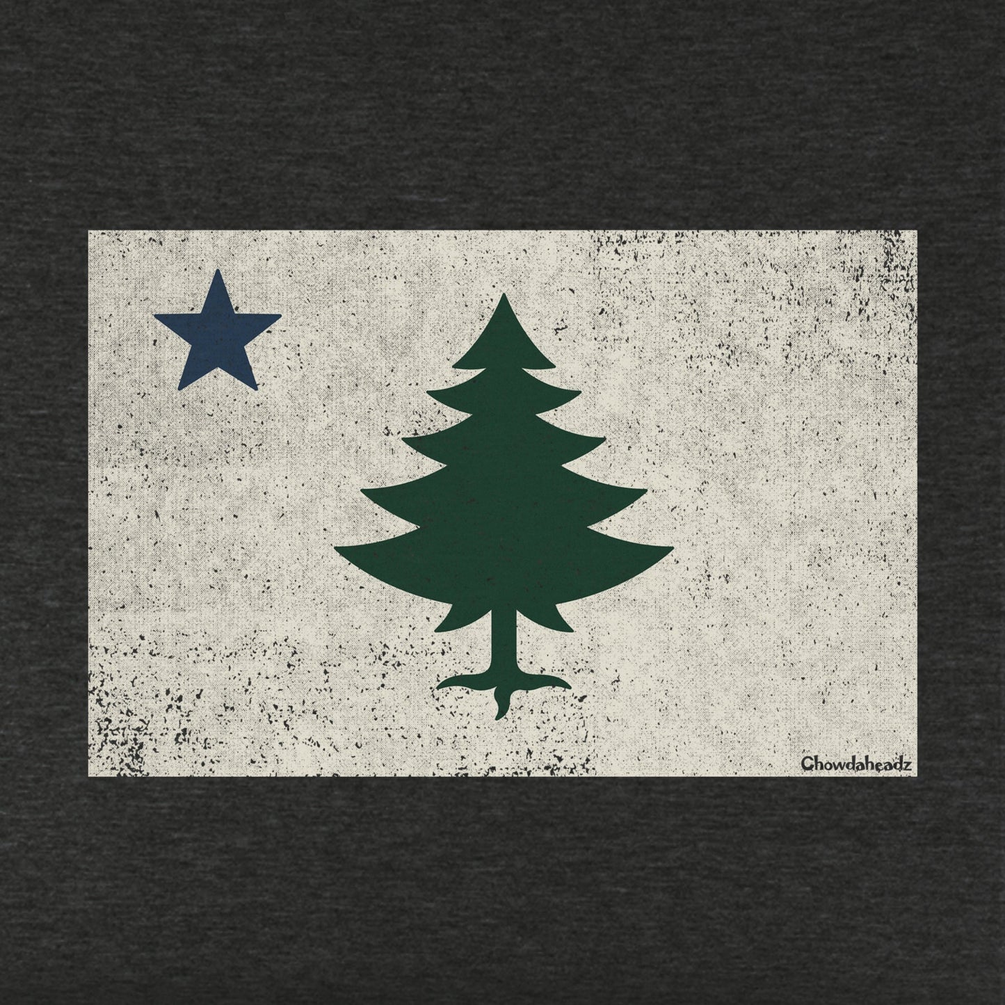 Vintage Maine Flag Youth Hoodie
