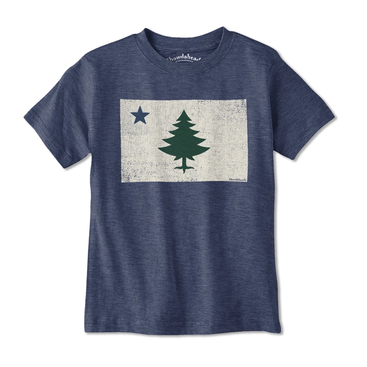 Vintage Maine Flag Youth T-shirt