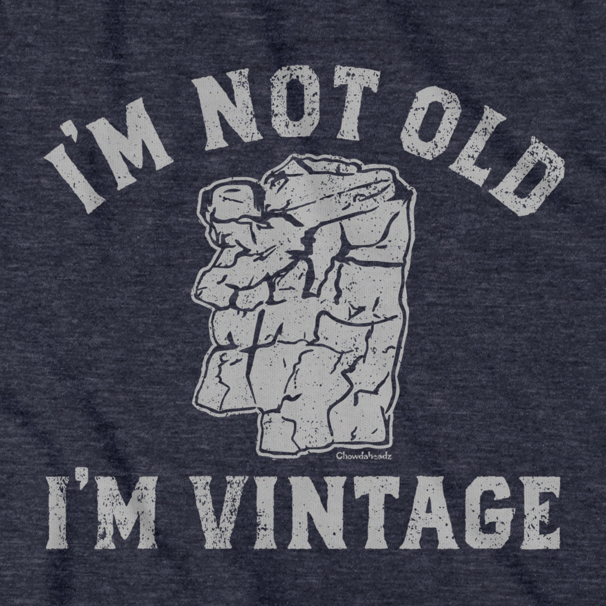 I'm Not Old I'm Vintage Old Man T-Shirt