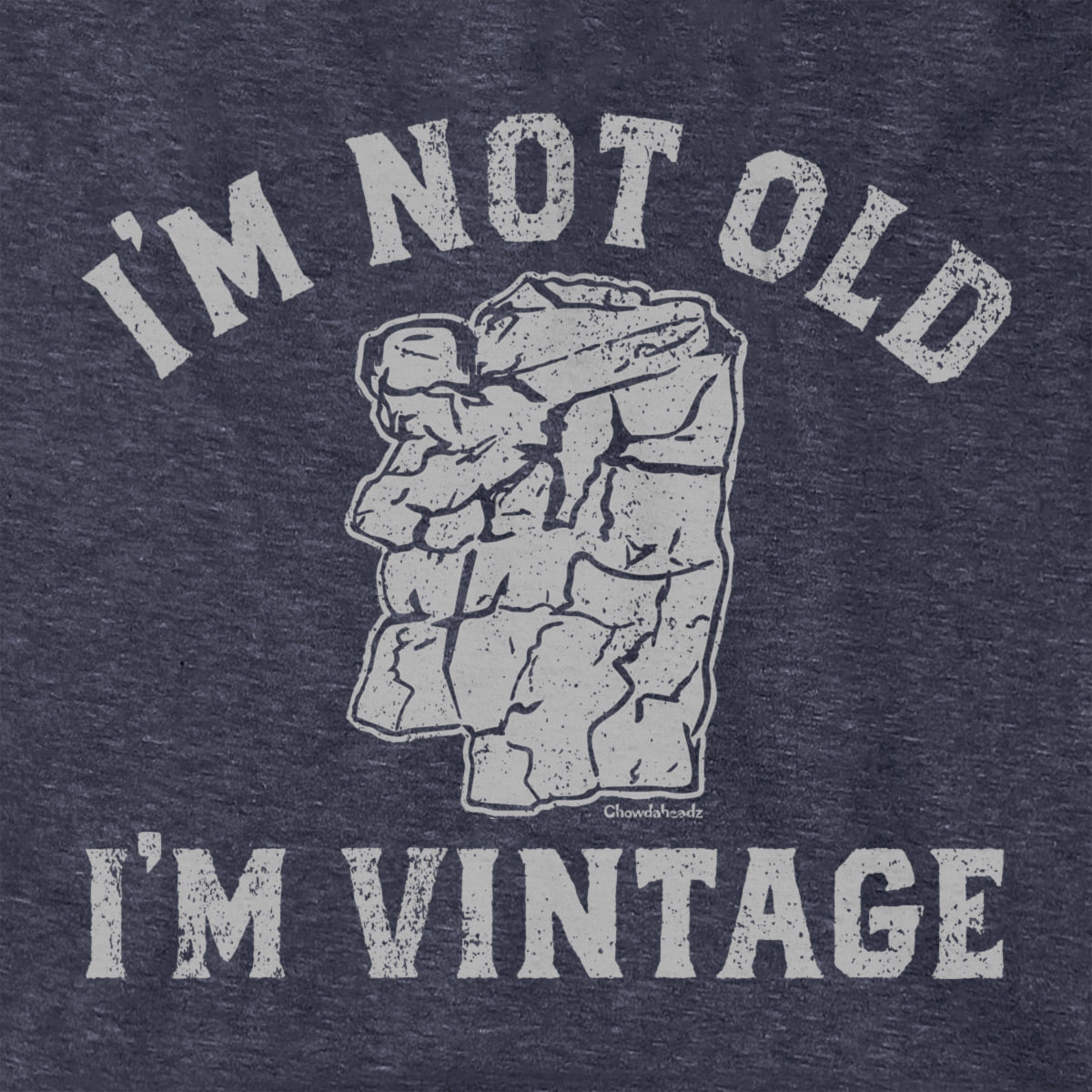 I'm Not Old I'm Vintage Old Man Hoodie